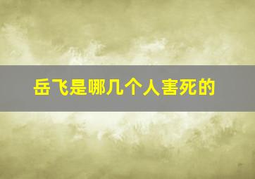 岳飞是哪几个人害死的