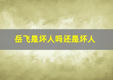 岳飞是坏人吗还是坏人