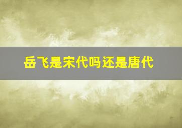 岳飞是宋代吗还是唐代