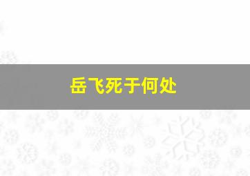 岳飞死于何处