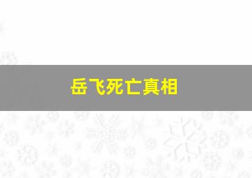 岳飞死亡真相