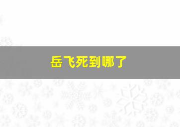 岳飞死到哪了