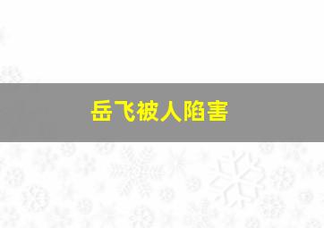 岳飞被人陷害