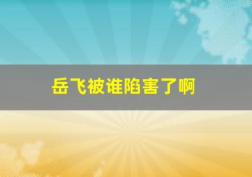 岳飞被谁陷害了啊