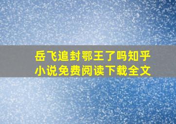 岳飞追封鄂王了吗知乎小说免费阅读下载全文