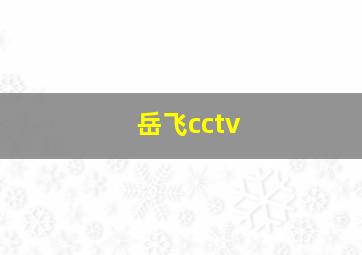 岳飞cctv