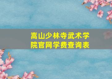 嵩山少林寺武术学院官网学费查询表