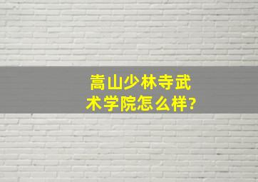 嵩山少林寺武术学院怎么样?