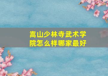 嵩山少林寺武术学院怎么样哪家最好