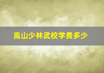 嵩山少林武校学费多少