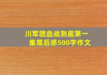 川军团血战到底第一集观后感500字作文