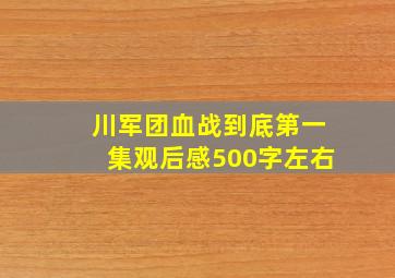 川军团血战到底第一集观后感500字左右