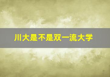 川大是不是双一流大学