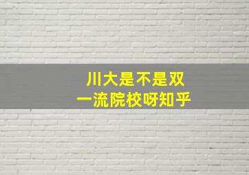 川大是不是双一流院校呀知乎