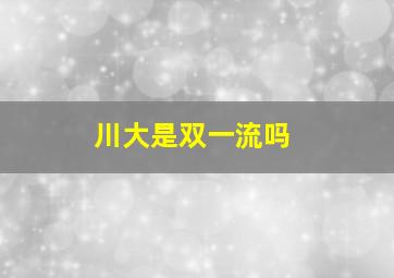 川大是双一流吗