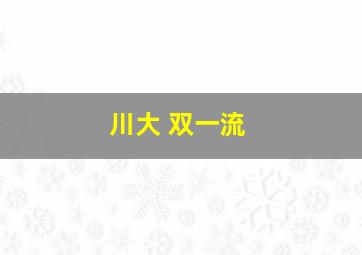 川大 双一流