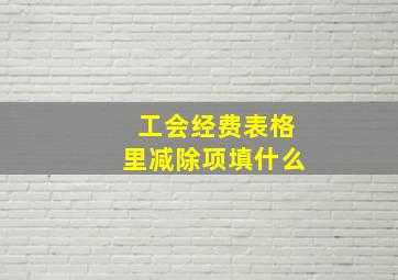 工会经费表格里减除项填什么