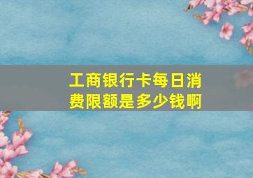 工商银行卡每日消费限额是多少钱啊