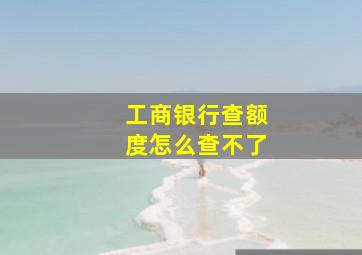 工商银行查额度怎么查不了