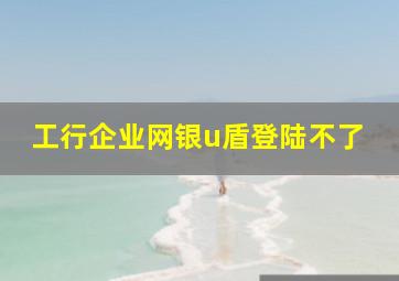 工行企业网银u盾登陆不了