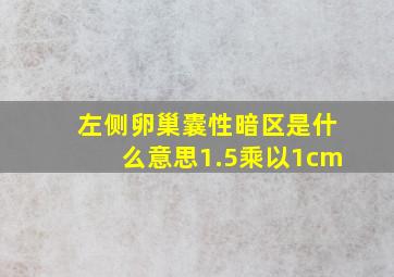 左侧卵巢囊性暗区是什么意思1.5乘以1cm