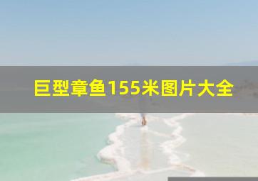 巨型章鱼155米图片大全