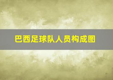 巴西足球队人员构成图