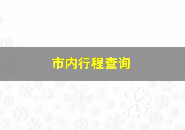 市内行程查询