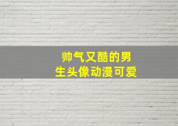 帅气又酷的男生头像动漫可爱