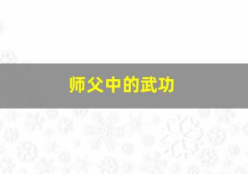 师父中的武功