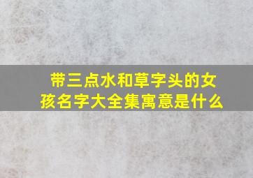 带三点水和草字头的女孩名字大全集寓意是什么