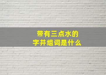 带有三点水的字并组词是什么