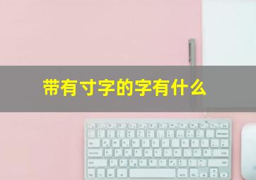 带有寸字的字有什么