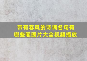 带有春风的诗词名句有哪些呢图片大全视频播放