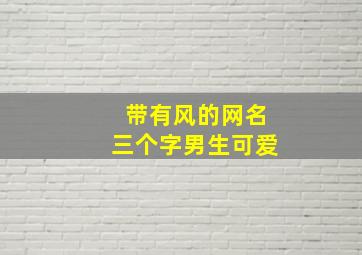 带有风的网名三个字男生可爱