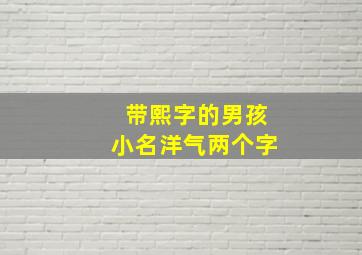 带熙字的男孩小名洋气两个字