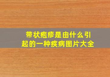 带状疱疹是由什么引起的一种疾病图片大全