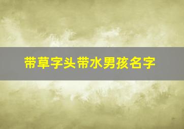 带草字头带水男孩名字