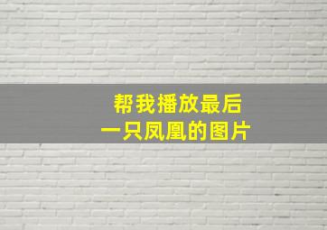 帮我播放最后一只凤凰的图片