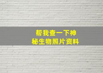 帮我查一下神秘生物照片资料