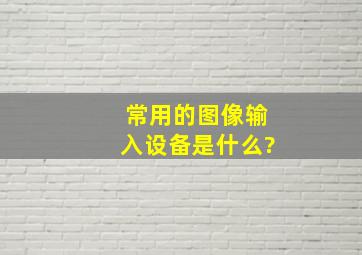 常用的图像输入设备是什么?