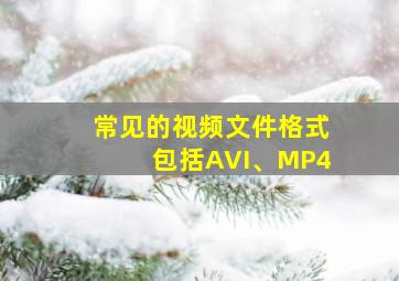 常见的视频文件格式包括AVI、MP4