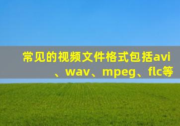 常见的视频文件格式包括avi、wav、mpeg、flc等