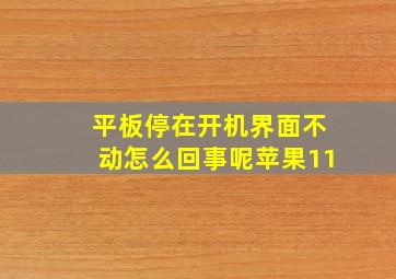 平板停在开机界面不动怎么回事呢苹果11