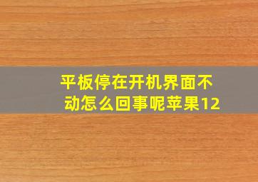 平板停在开机界面不动怎么回事呢苹果12