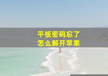 平板密码忘了怎么解开苹果