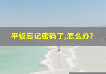 平板忘记密码了,怎么办?