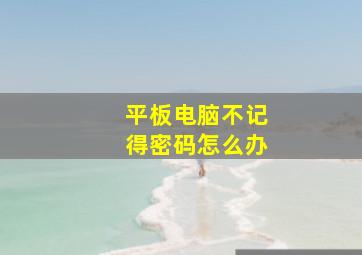 平板电脑不记得密码怎么办