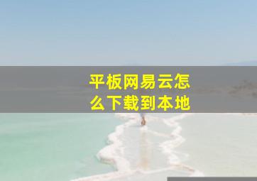 平板网易云怎么下载到本地