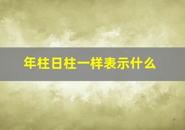 年柱日柱一样表示什么